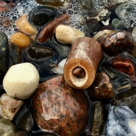 Strandgut
